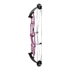Hoyt Stratos 40 HBT Compound Bows 2024 -Archery Specialty Shop 40hbtstardust 1