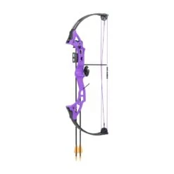 Bear Brave 3 Compound Bow -Archery Specialty Shop bear brave purple 1