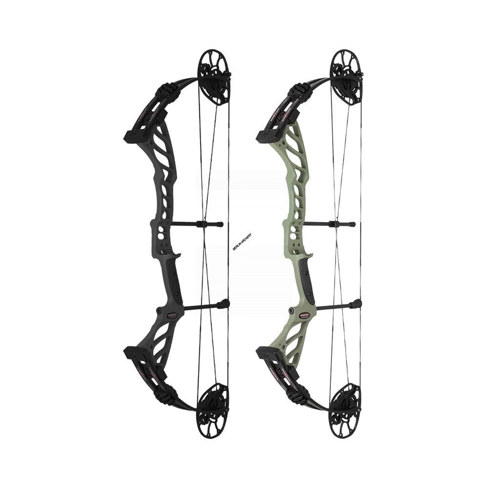 Darton Cyclone Compound Bow 1 Darton Cyclone Compound Bow
